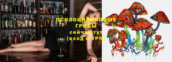 сатива Армянск