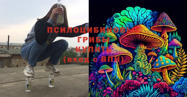 сатива Армянск