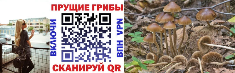 где продают наркотики  darknet Telegram  Псилоцибиновые грибы мухоморы  Ржев 